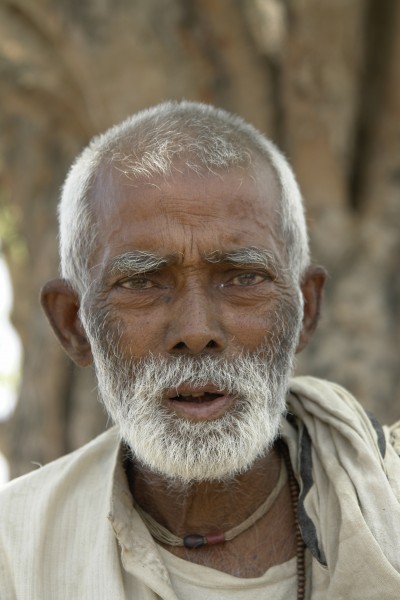 Old man, Bihar, India