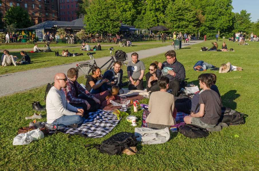 Wikimedia Sverige-picknick June 2015 03