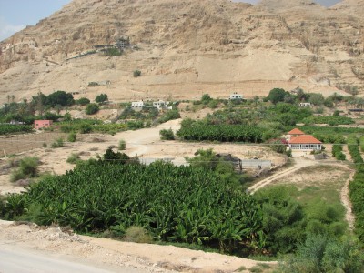 Jericho is a town near the Jordan River in the West Bank of the Palestinian territories. It has population of more than 20,000. Situated well below sea level on an east-west route 16 km north of the Dead Sea, Jericho is the lowest permanently inhabited site on earth. It is also believed to be the oldest continuously inhabited city in the world. Described in the Old Testament as the City of Palm Trees, copious springs in and around Jericho have made it an attractive site for human habitation for thousands of years. It is known in Judeo-Christian tradition as the place of the Israelites' return from bondage in Egypt, led by Joshua, the successor to Moses. Archaeologists have unearthed the remains of more than 20 successive settlements in Jericho, the first of which dates back 11,000 years.<br>Name of photo's author: Free-Photos.biz<br>This photo was taken in: Jericho, Palestina