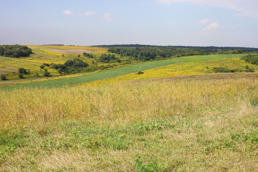 Fields and meadows around Ostroh town, photo 7