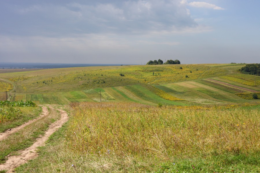 Fields and meadows around Ostroh town, photo 6