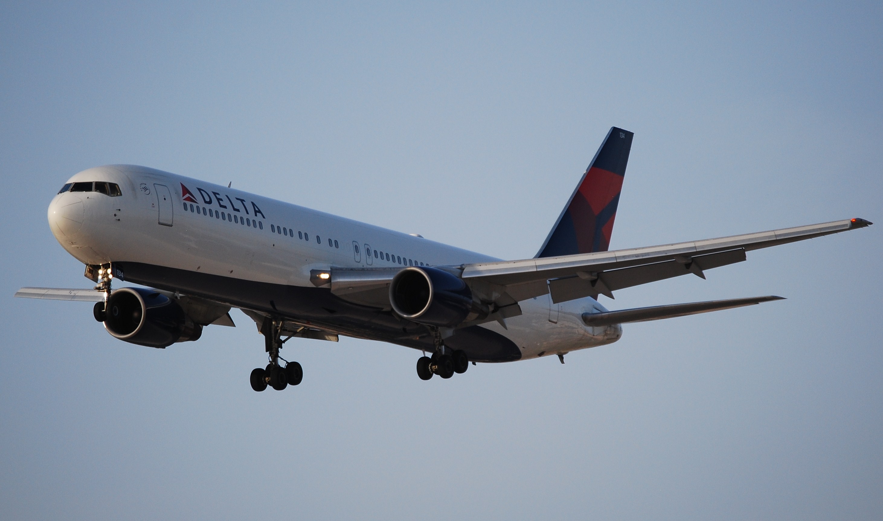 DELTA AIRLINES (2484860053)