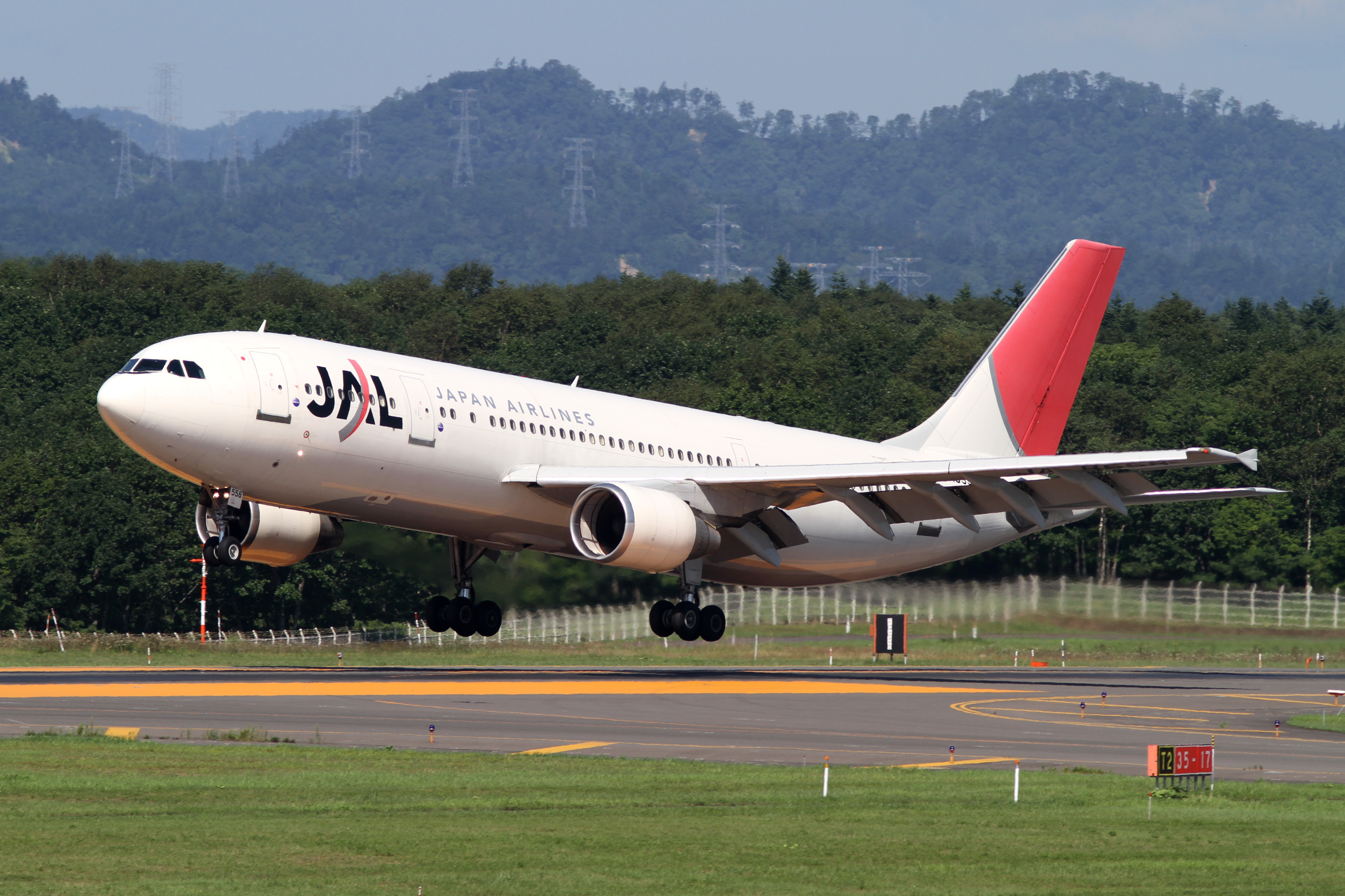 JAL A300-600R(JA8558) (4904461007)