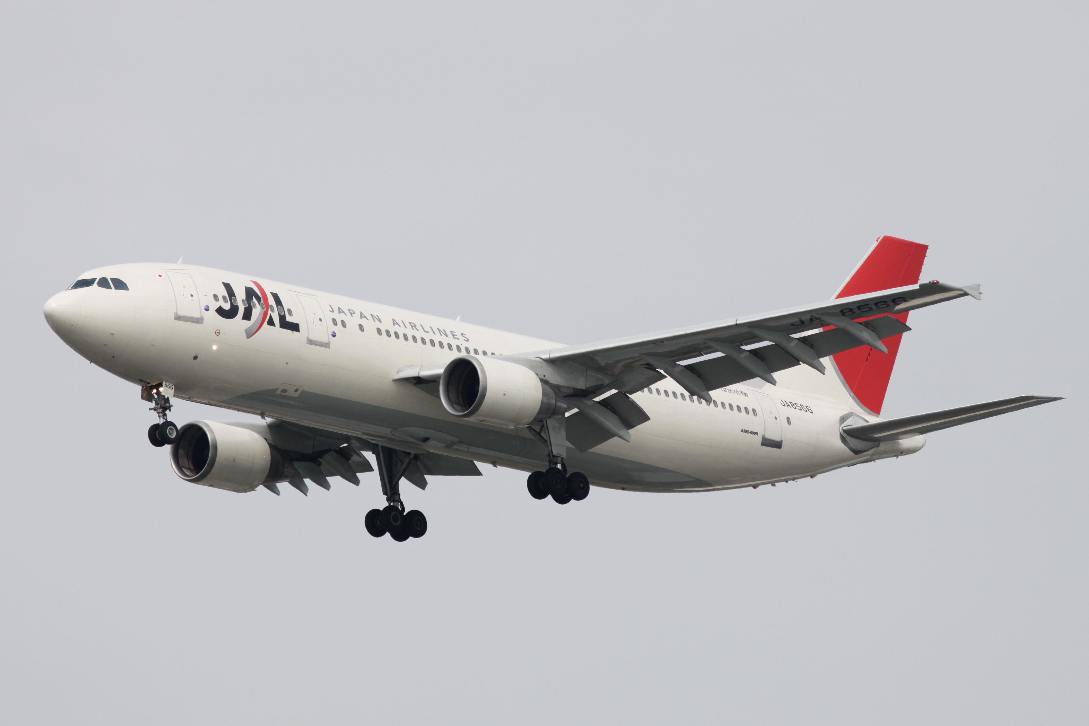 JAL A300-600R(JA8566) (3862347984)