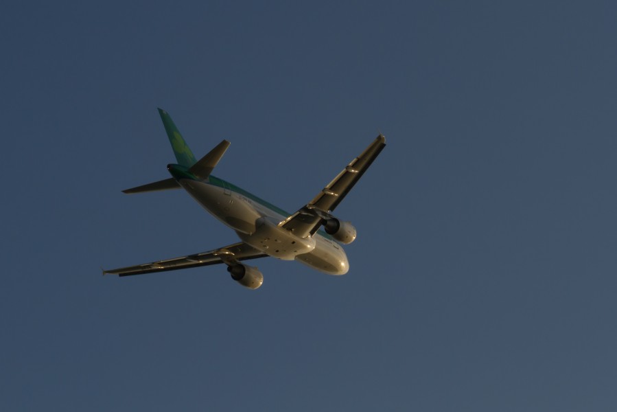 Aer Lingus - A319 - EI-EPR
