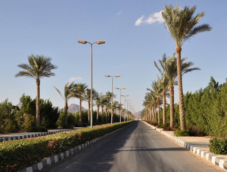 Sharm Road R01
