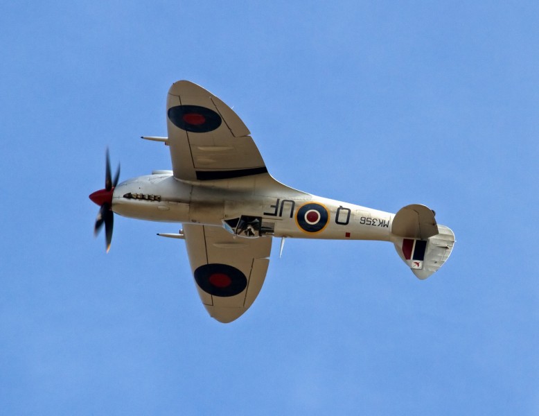 Spitfire MKLFIXe MK356 4a (6111877264)