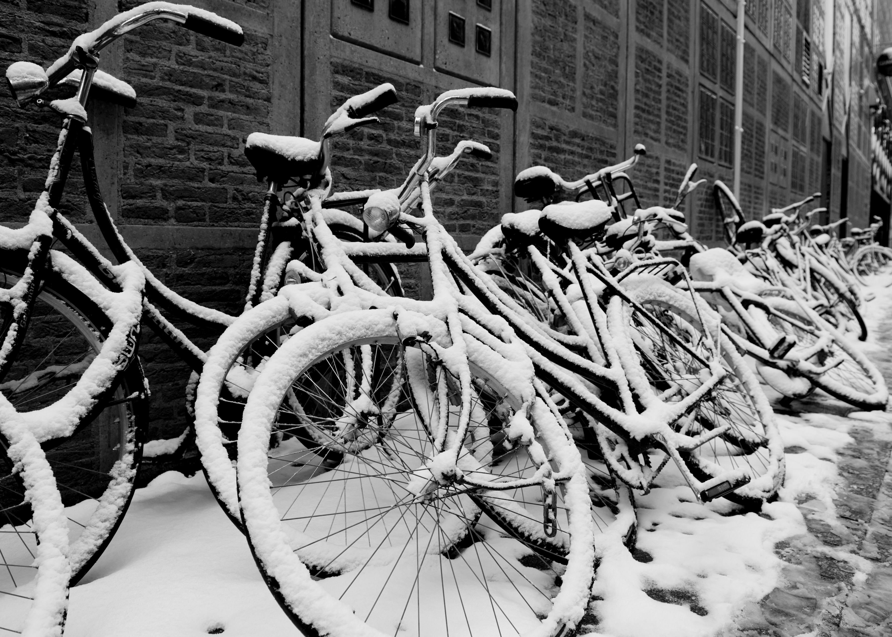 Flickr - NewsPhoto! - Amsterdam, city of bikes
