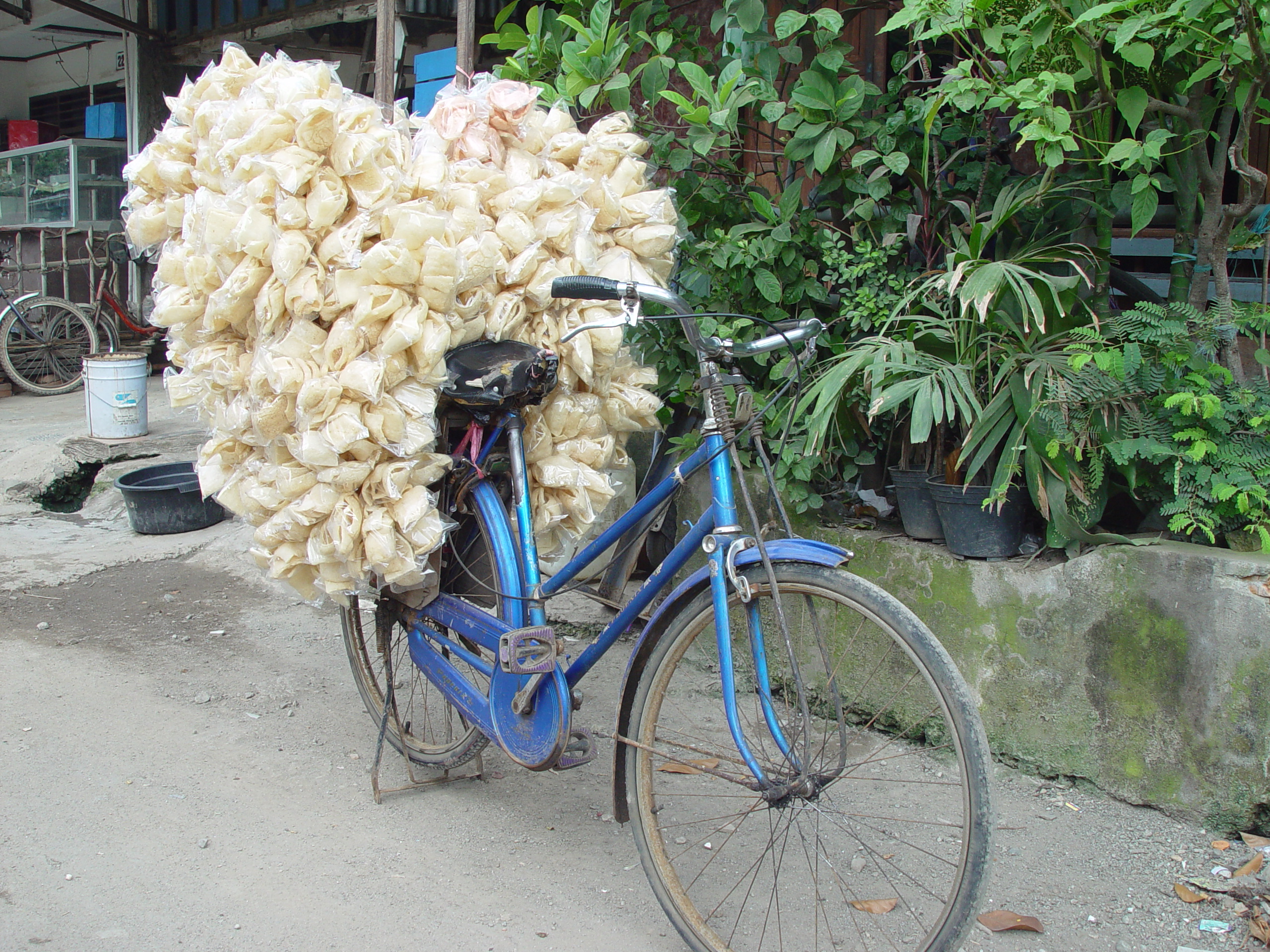 Indonesia bike29