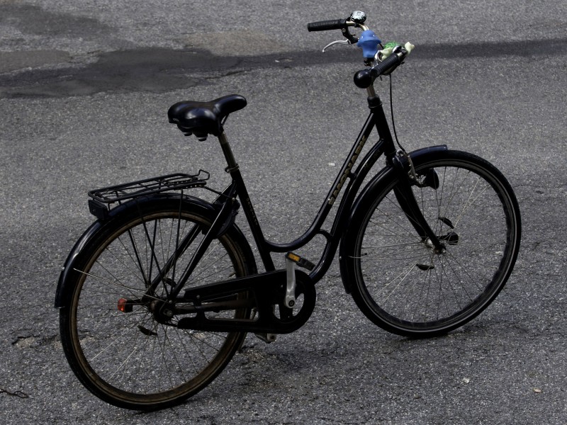 Danish bicycle female