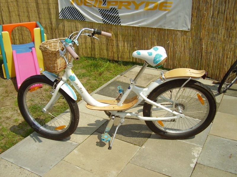 Vida Bicycle 2008 01
