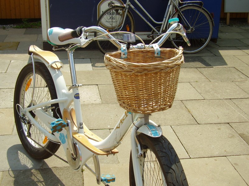 Vida Bicycle 2008 14