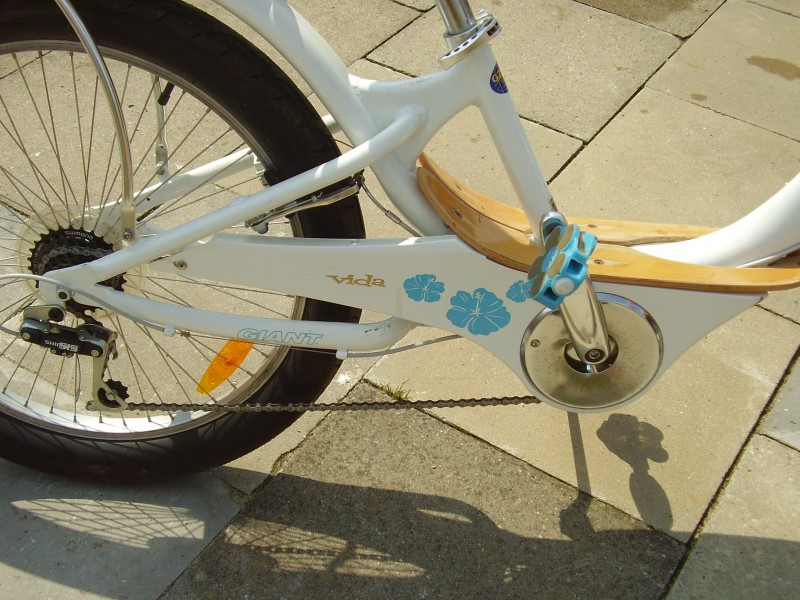 Vida Bicycle 2008 15