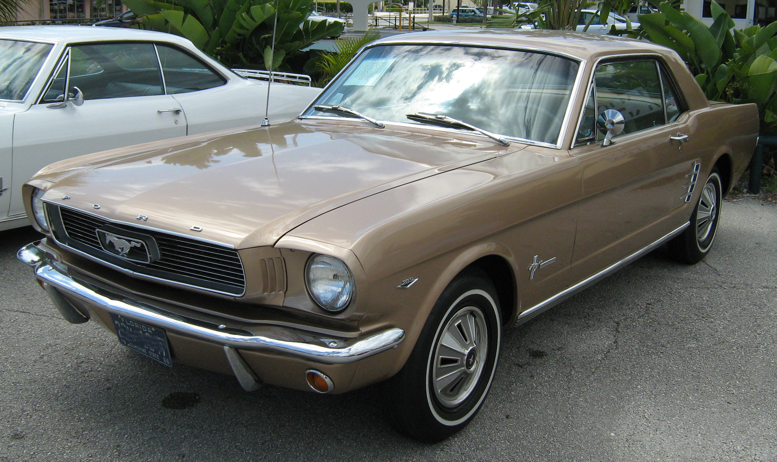 1966 Ford Mustang T-5 car