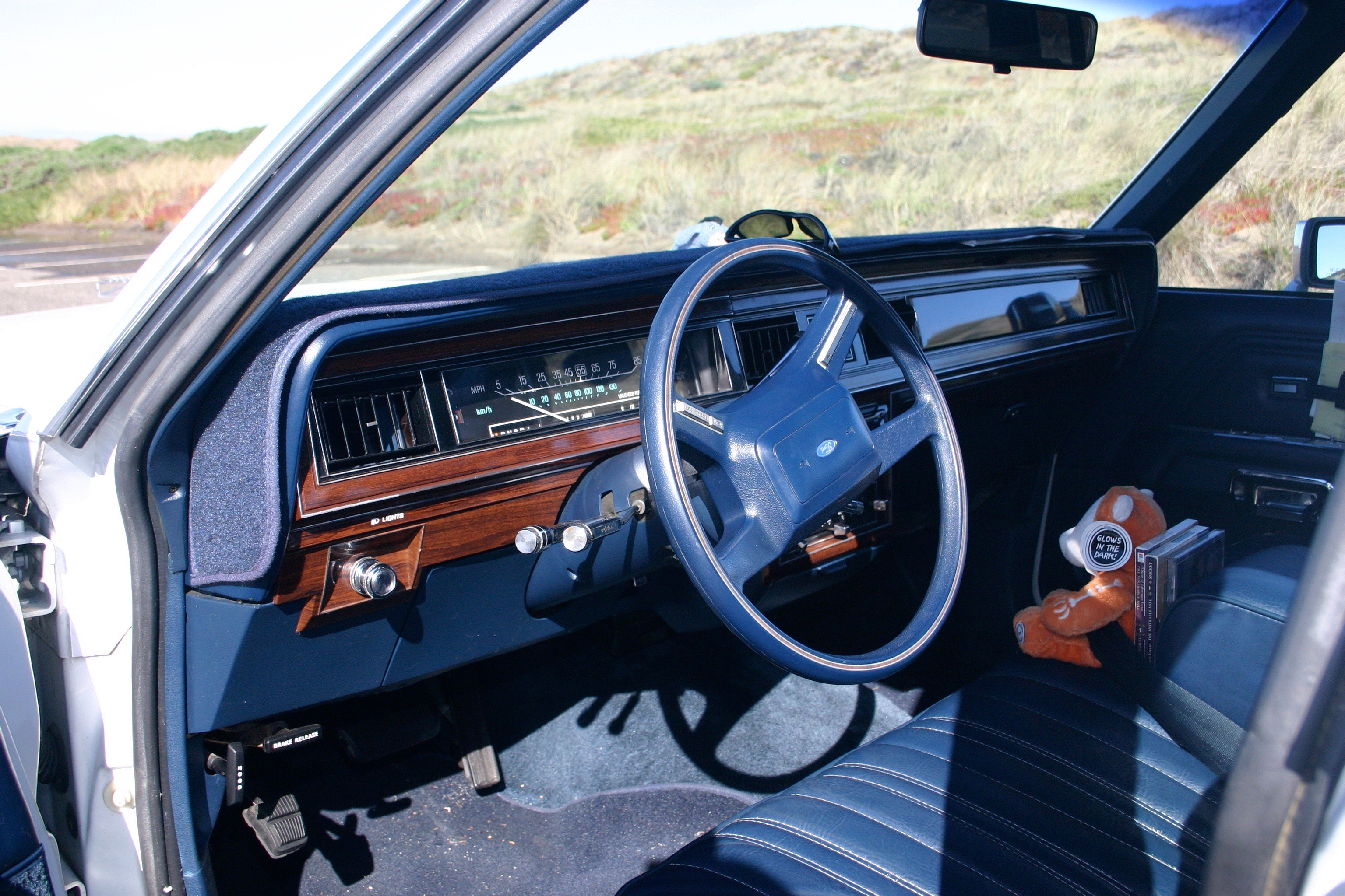1987 country squire blue interior