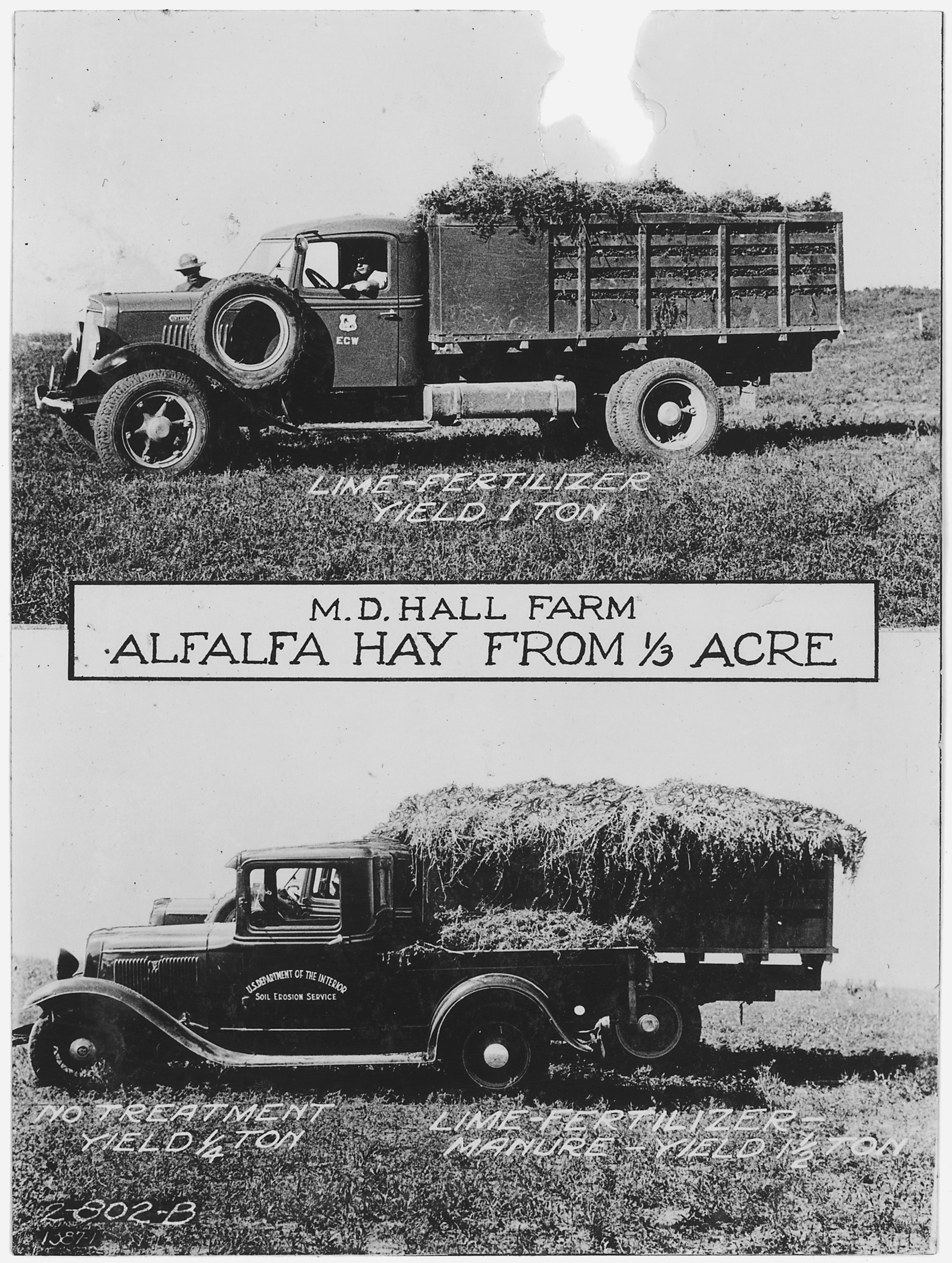 Comparison of amount of alfalfa hay grown with different types of fertilizer - NARA - 286152