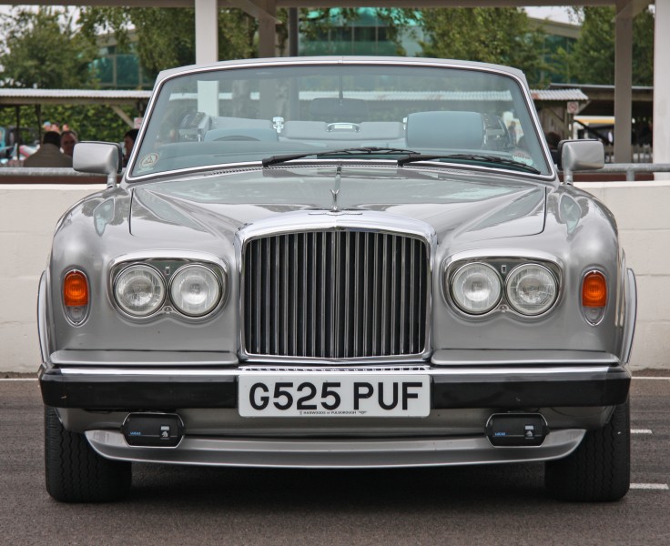 Bentley - Flickr - exfordy (15)