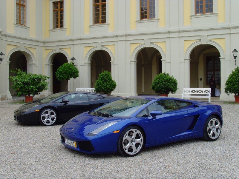 Two Lamborghini Gallardos together