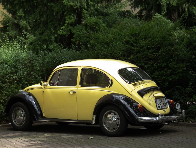 VW-Käfer schwarz gelb