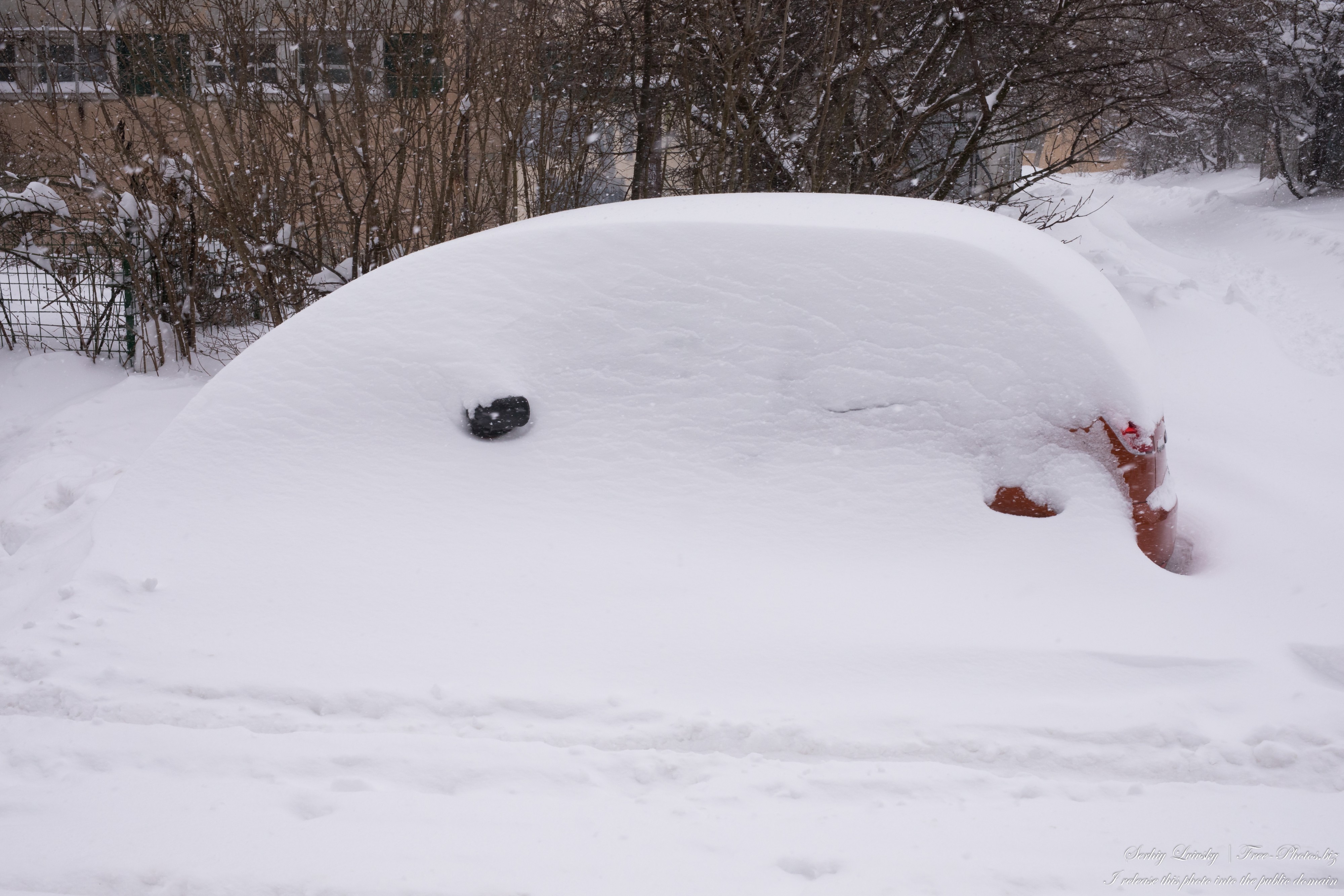a snow-covered car in Lviv city, Ukraine, in February 2021, picture 2