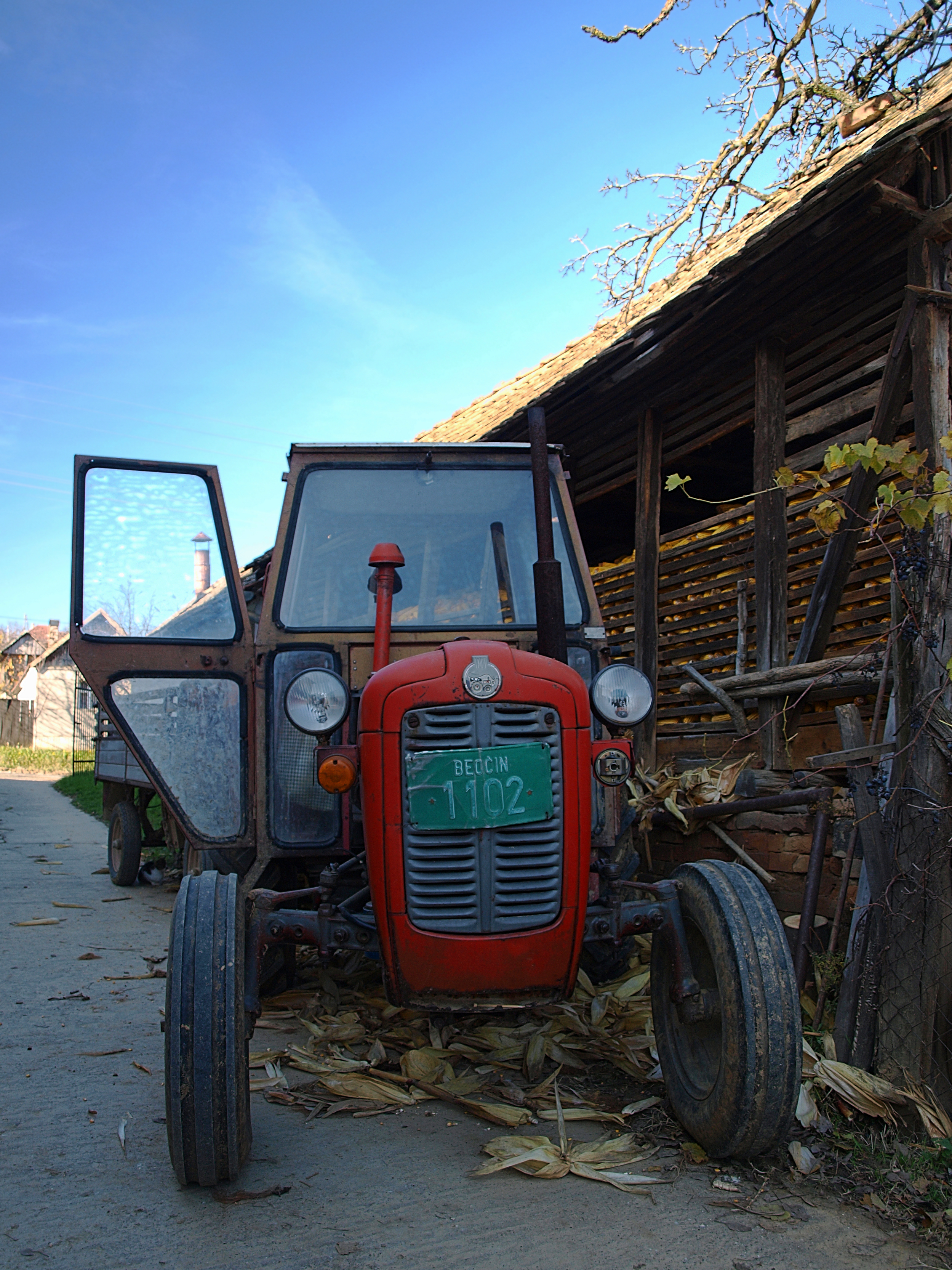 Time of harvest in village of Lug - Serbia
