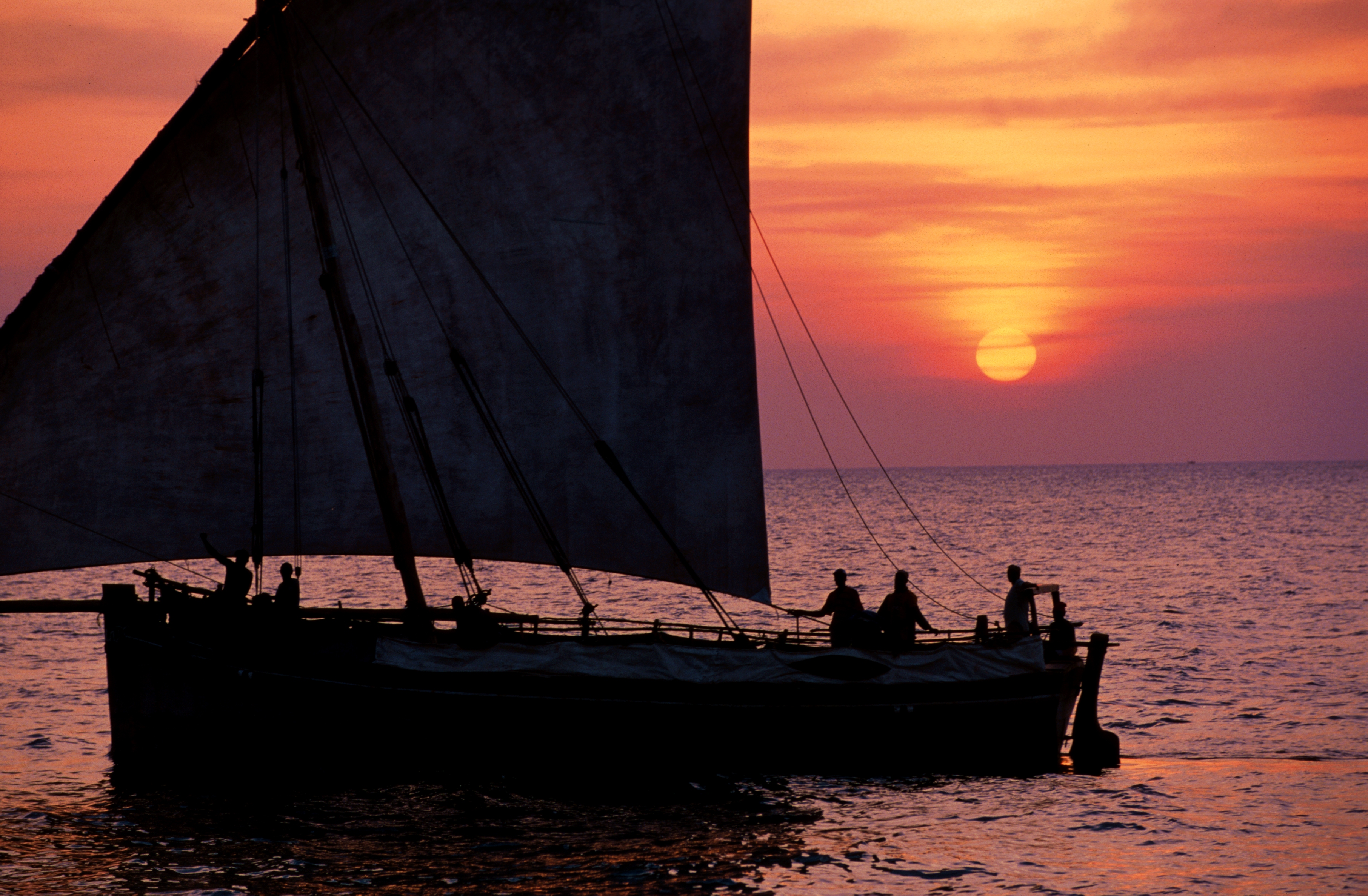 Dhow in sunset
