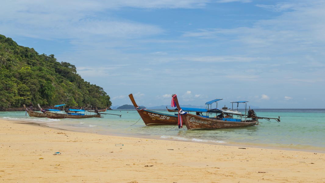 2016 Prowincja Krabi, Ko Phi Phi Don, Plaża Loh Moo Dee, Łodzie długoogonowe (01)
