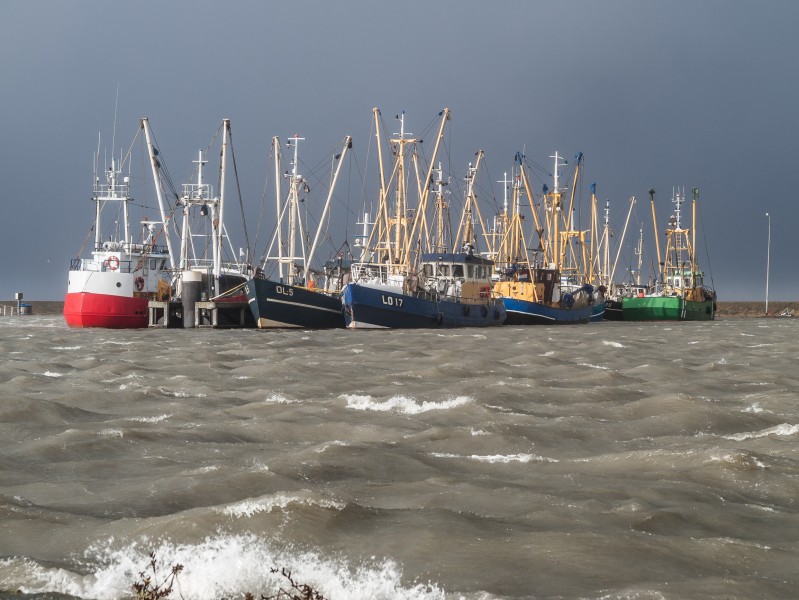 Cooped up Fishing ships in the harbour of Lauwersoog during the 5-6 december 2013 storm 02