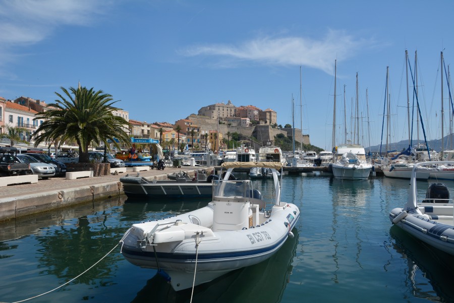 Corsica Calvi port citadelle