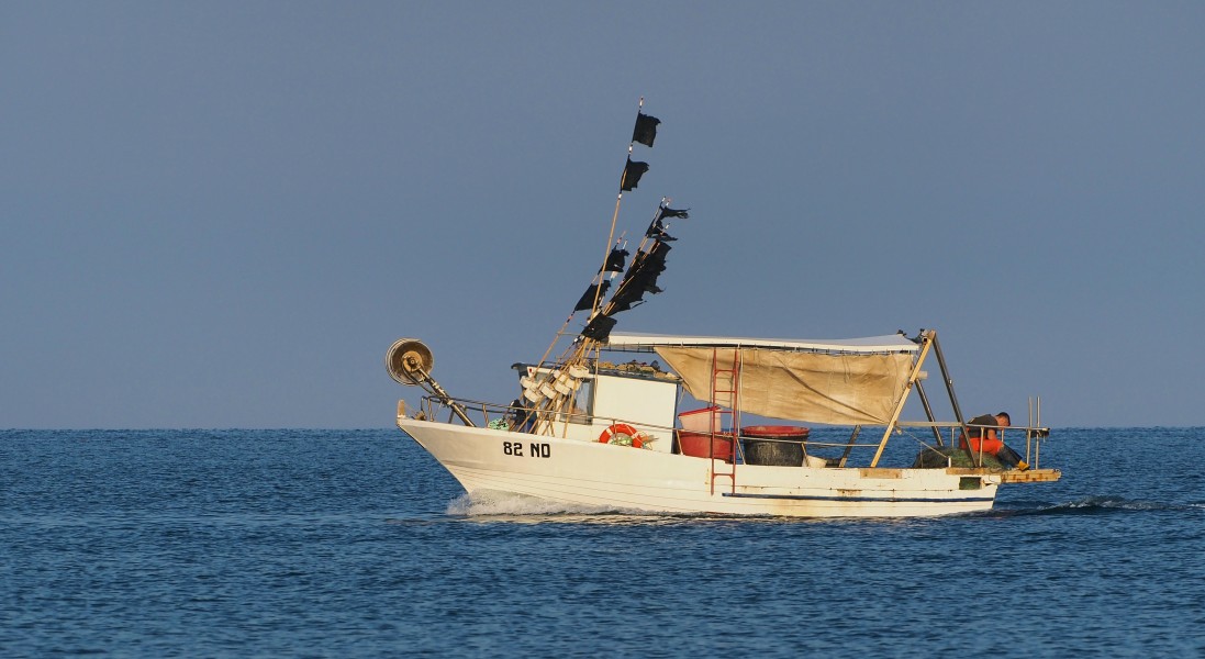 Fishing boat in Adriatic Sea