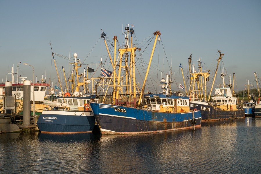 Fishing ships in the Lauwersoog harbor