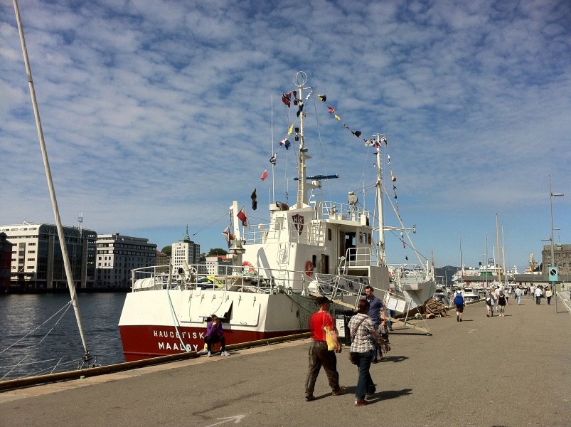 MS Haugefisk in Bergen harbour 03