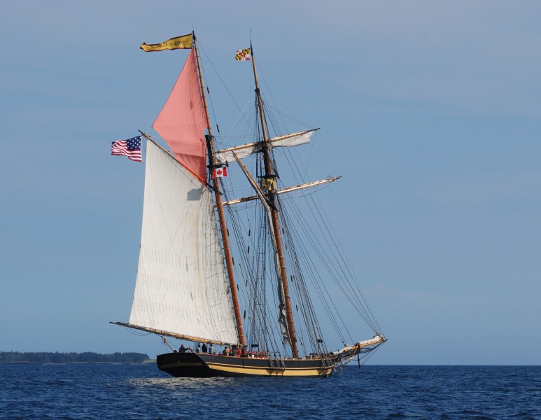 Pride of Baltimore Topsail
