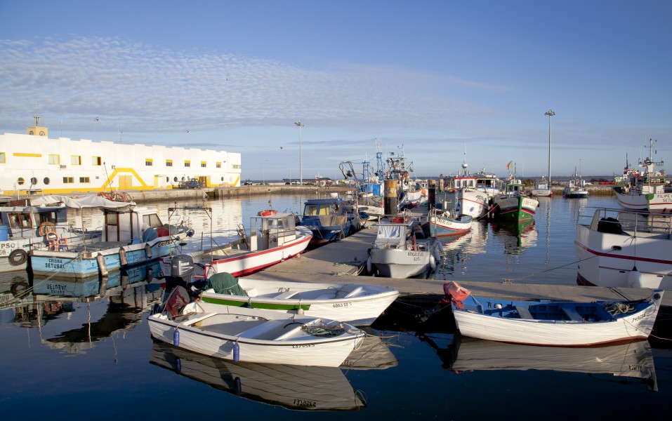 Puerto de Setúbal, Portugal, 2012-05-11, DD 02