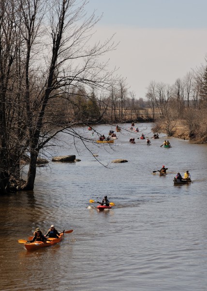 Raisin River Canoes