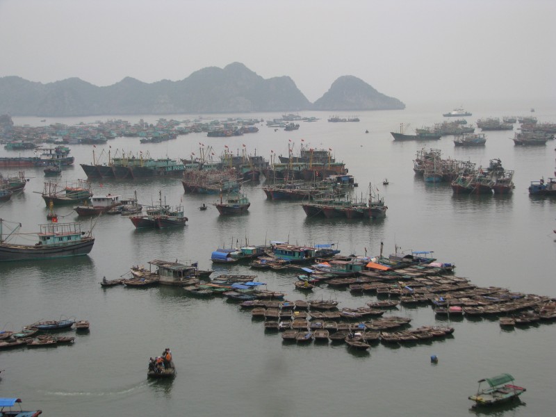 Vietnam 08 - 32 - Cat Ba harbour (3170478240)