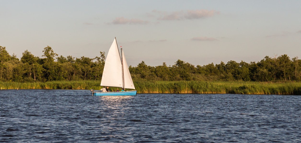 Zicht vanaf het water op de Alde Feanen van het It Fryske Gea. Waardevol natuurgebied in Friesland 04