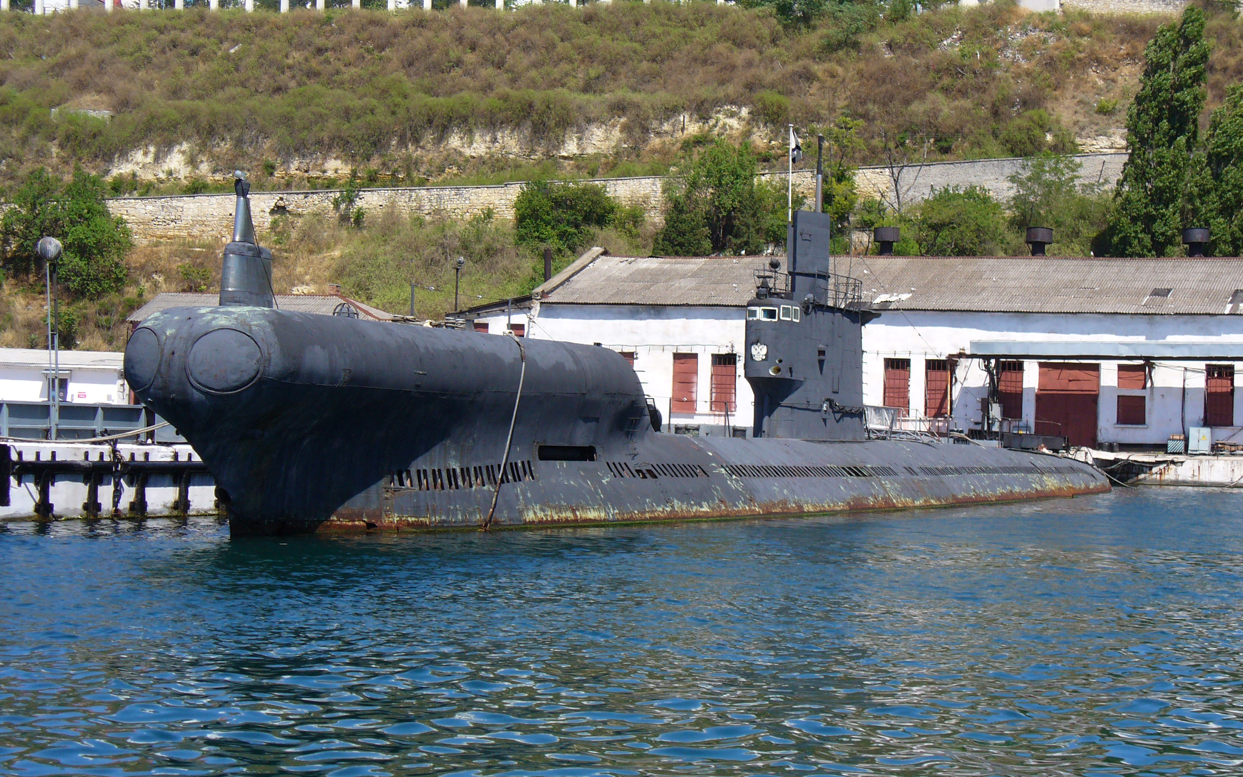 Submarine PZS-50 Project 633RV 2008 G5