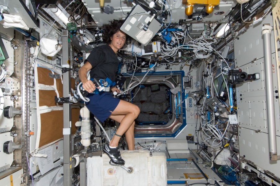 Expedition 32 flight engineer Sunita Williams Exercises on CEVIS
