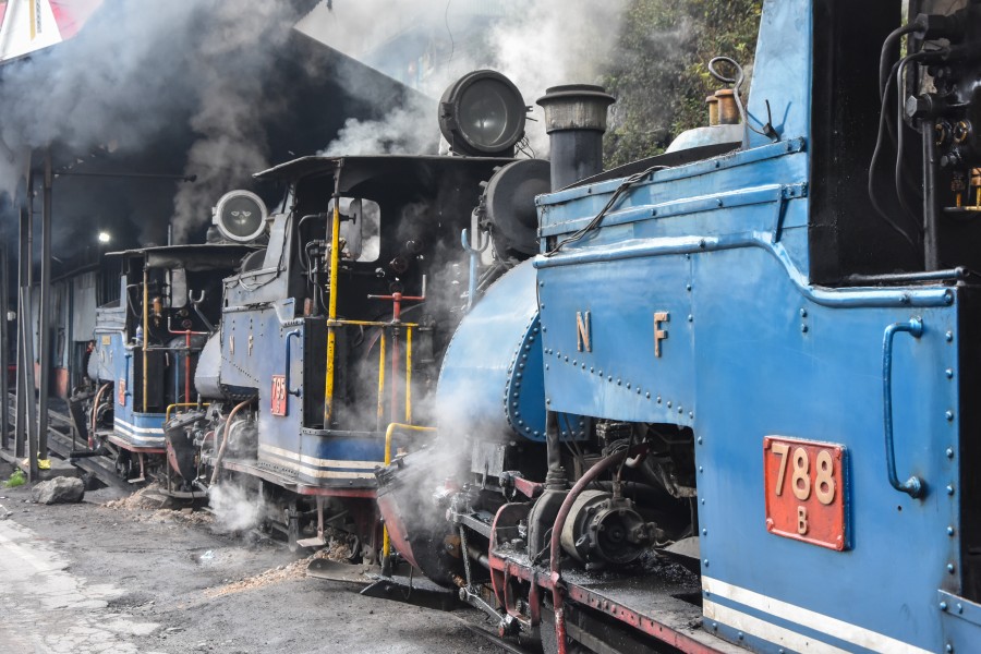 Darjeeling Himalayan Railway,toy train (2)
