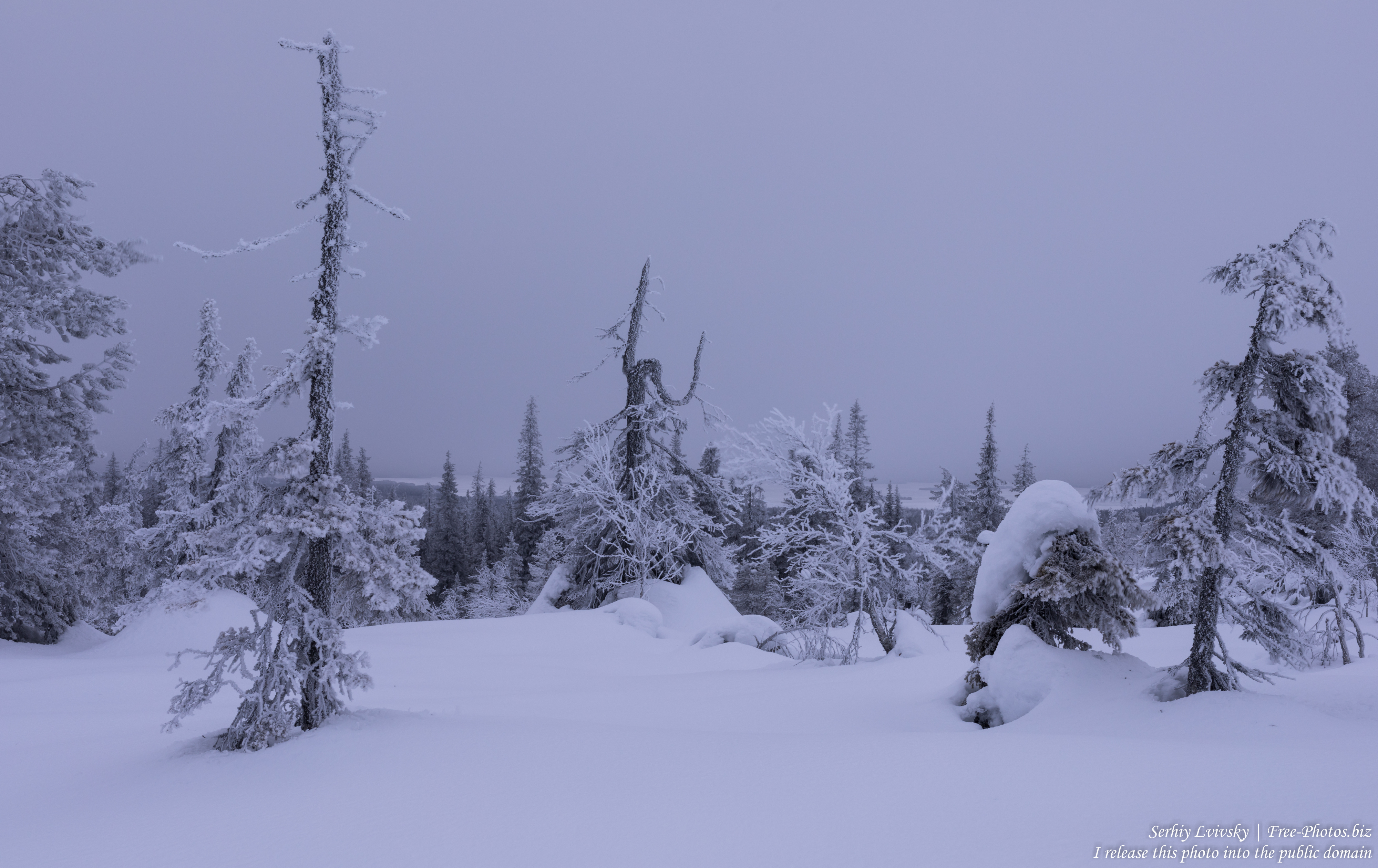 riisitunturi_finland_photographed_in_january_2020_by_serhiy_lvivsky_14