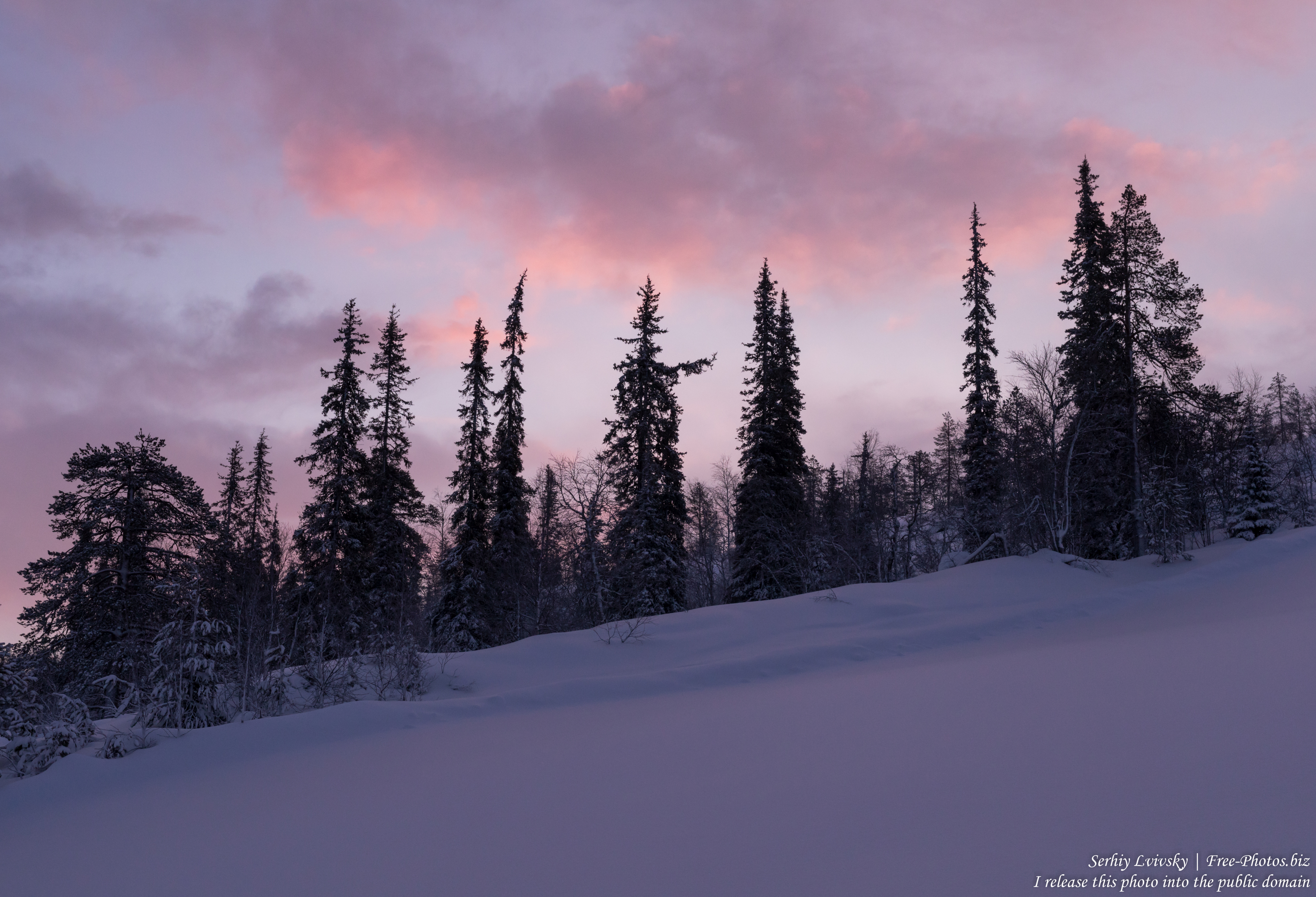 sallatunturi_finland_photographed_in_january_2020_by_serhiy_lvivsky_02