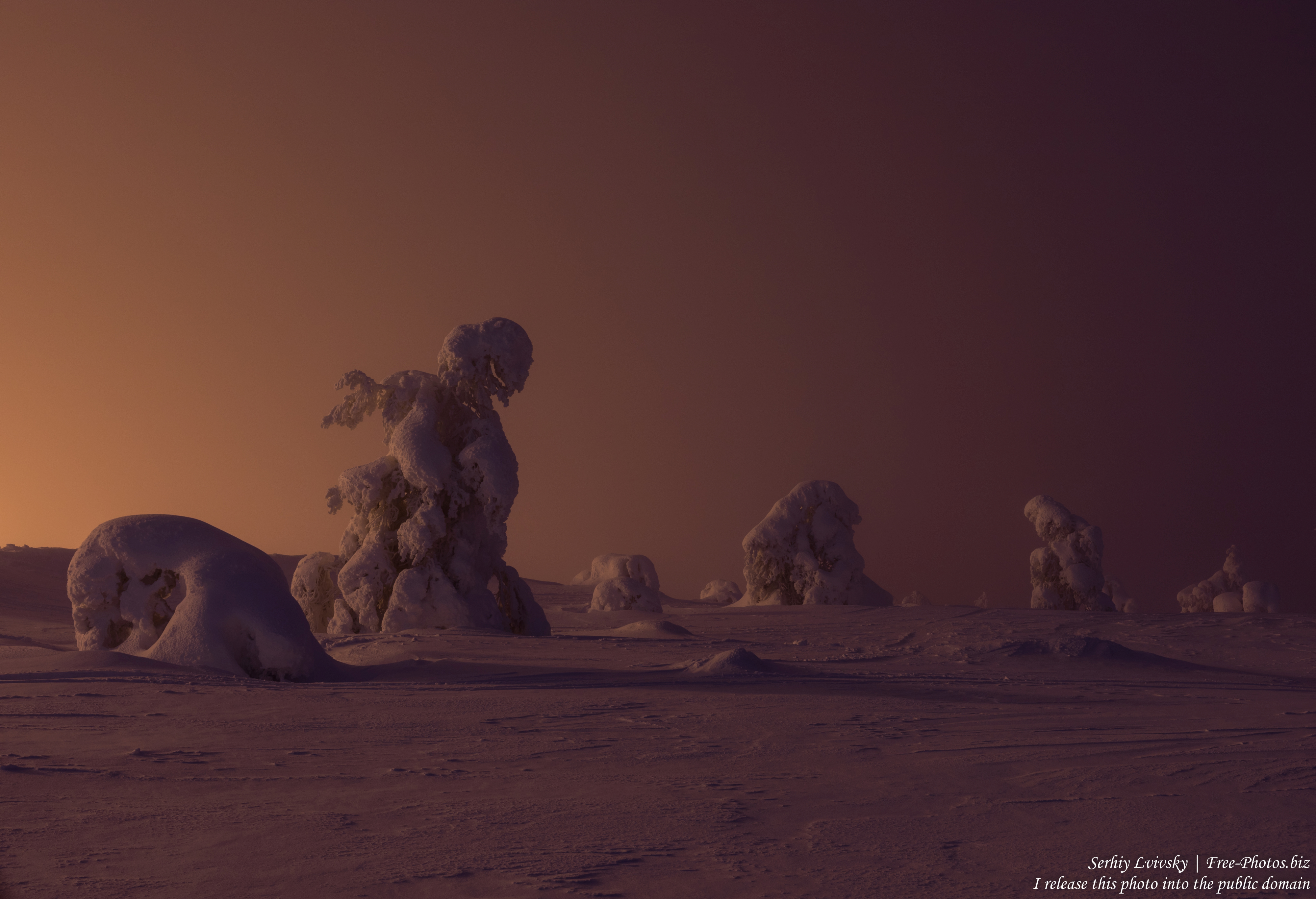 sallatunturi_finland_photographed_in_january_2020_by_serhiy_lvivsky_20
