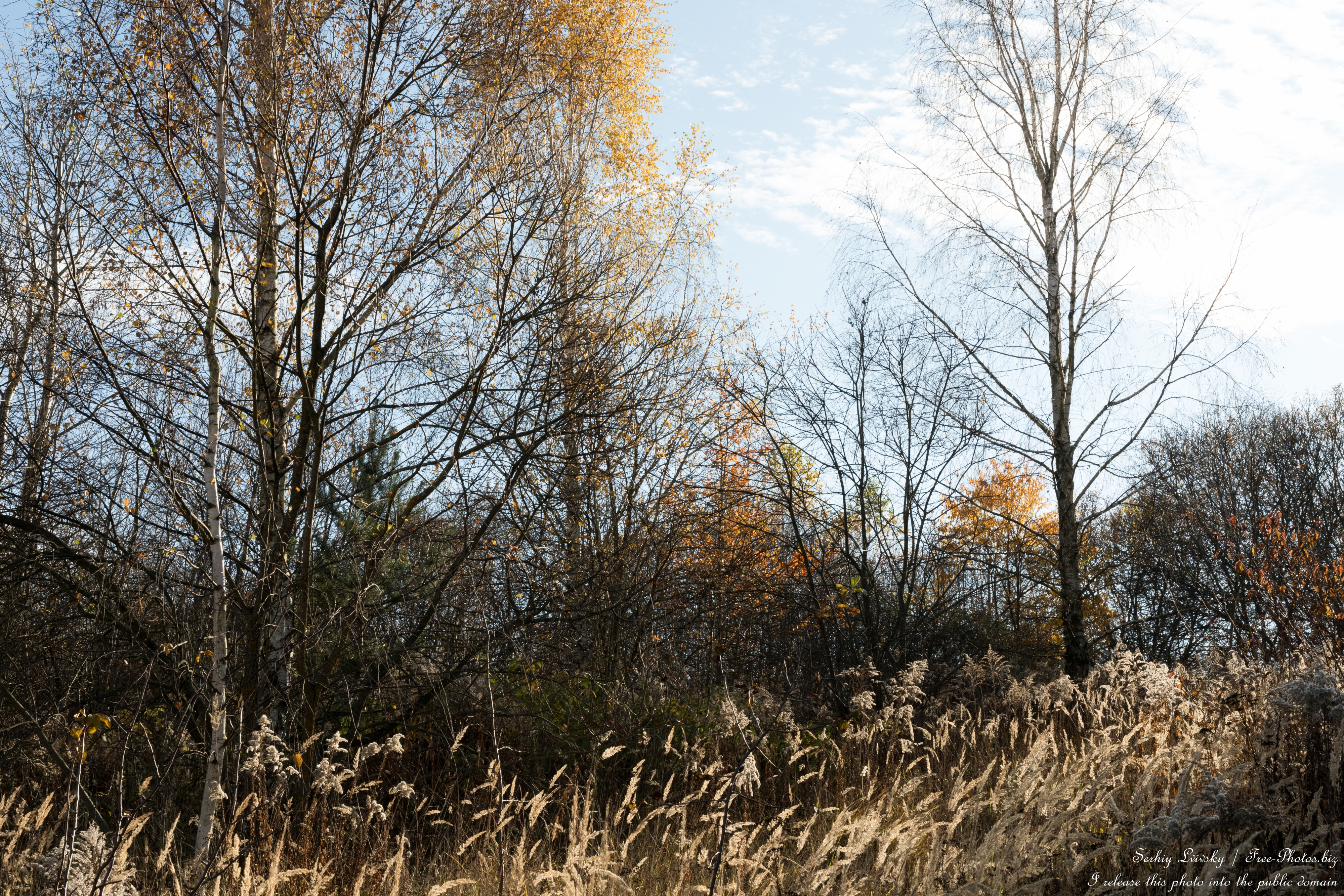 nature_in_lviv_region_of_ukraine_in_nov_2025_photo_by_serhiy_lvivsky_07