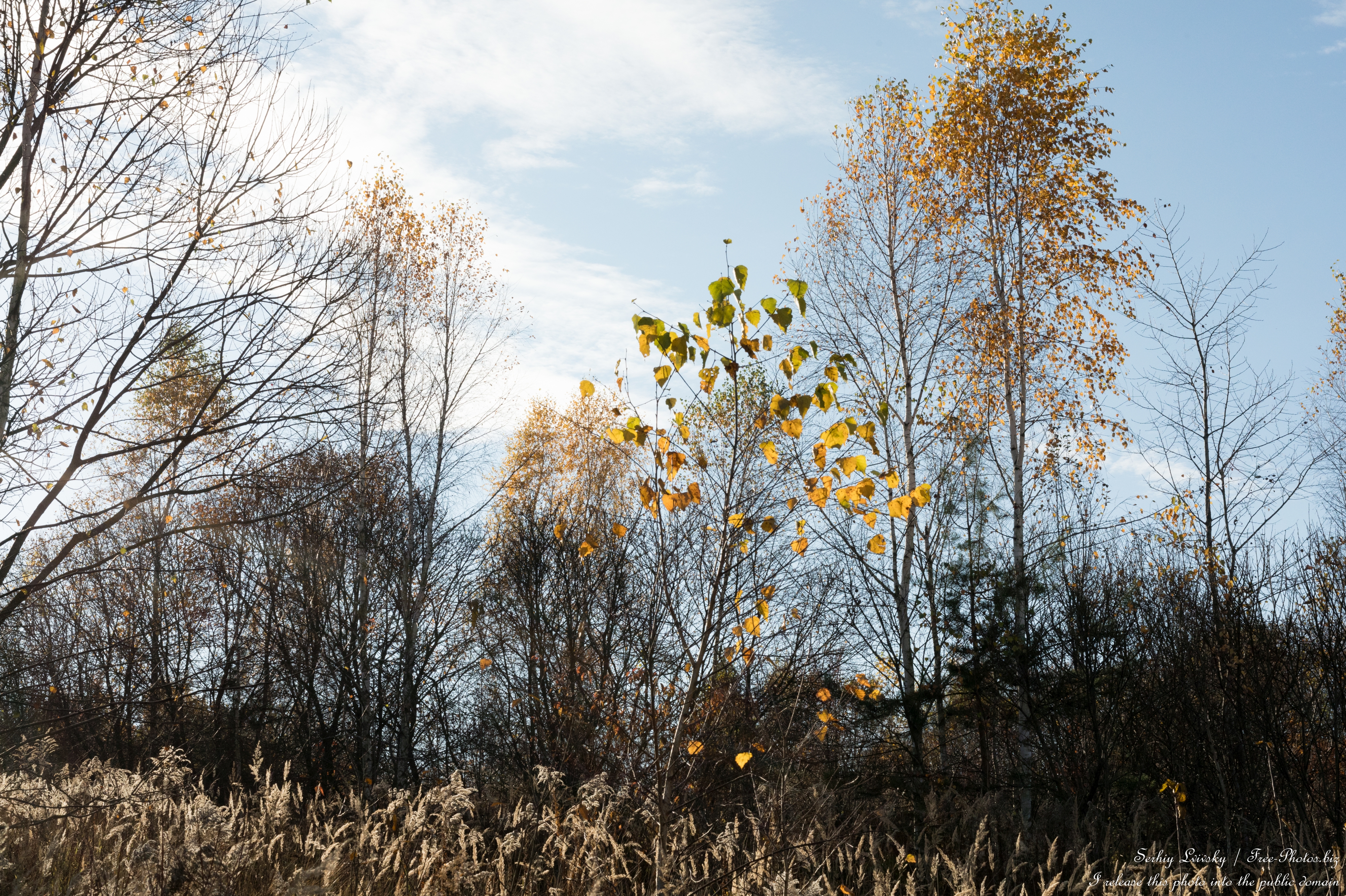 nature_in_lviv_region_of_ukraine_in_nov_2025_photo_by_serhiy_lvivsky_08