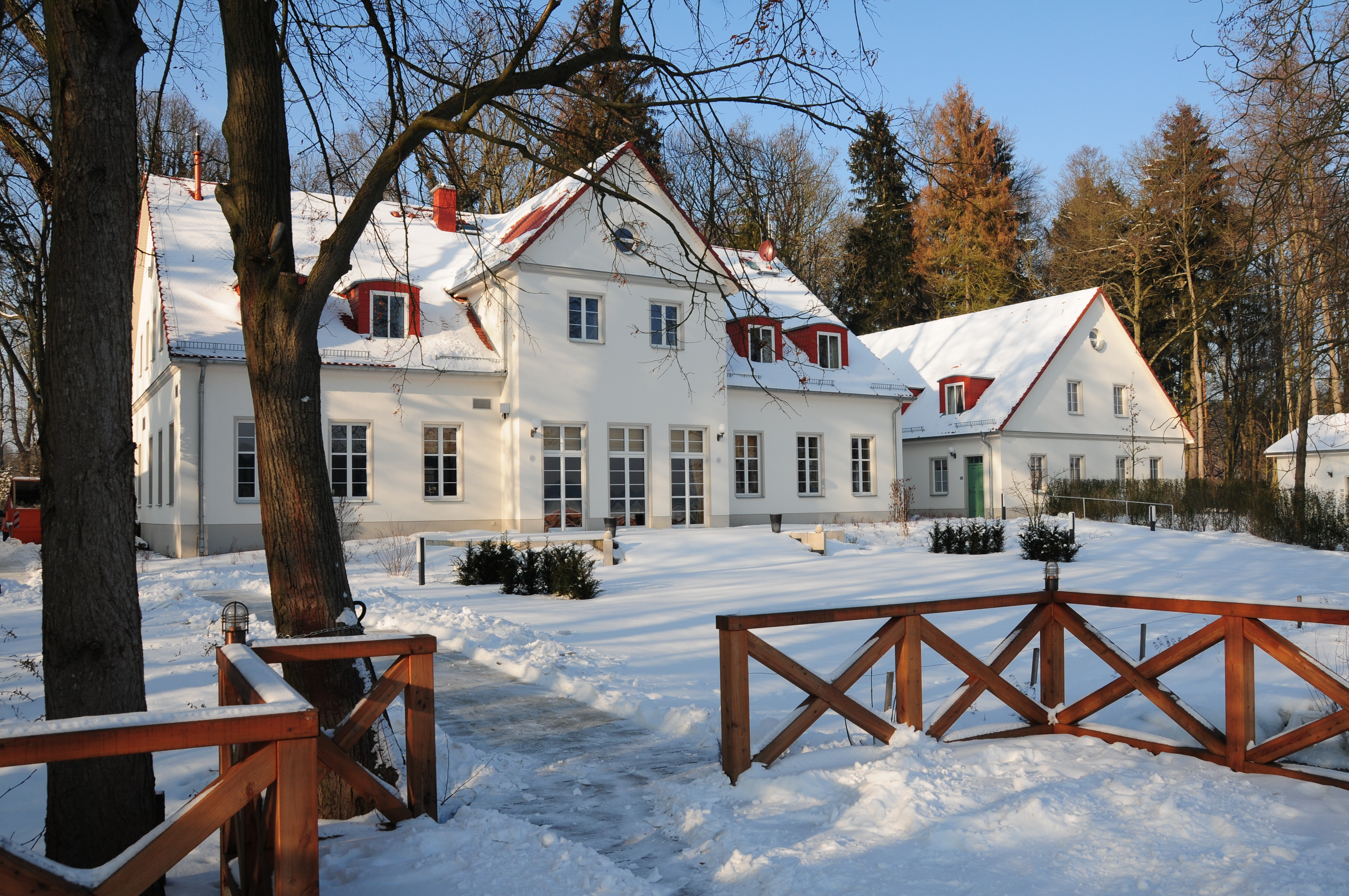 2010-01-23-schorfheide-by-RalfR-53