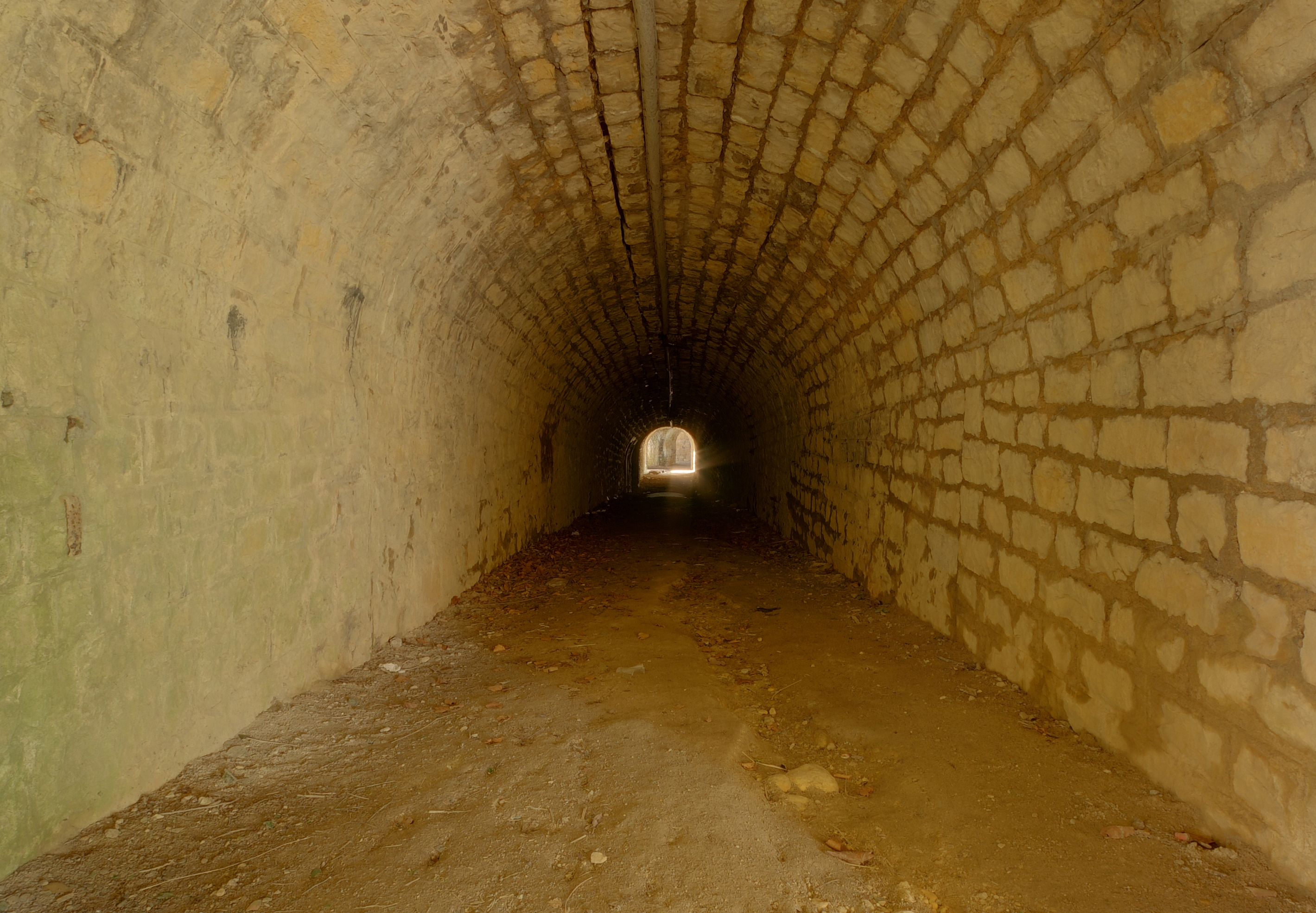 2011-03-24-f-lachaux-2