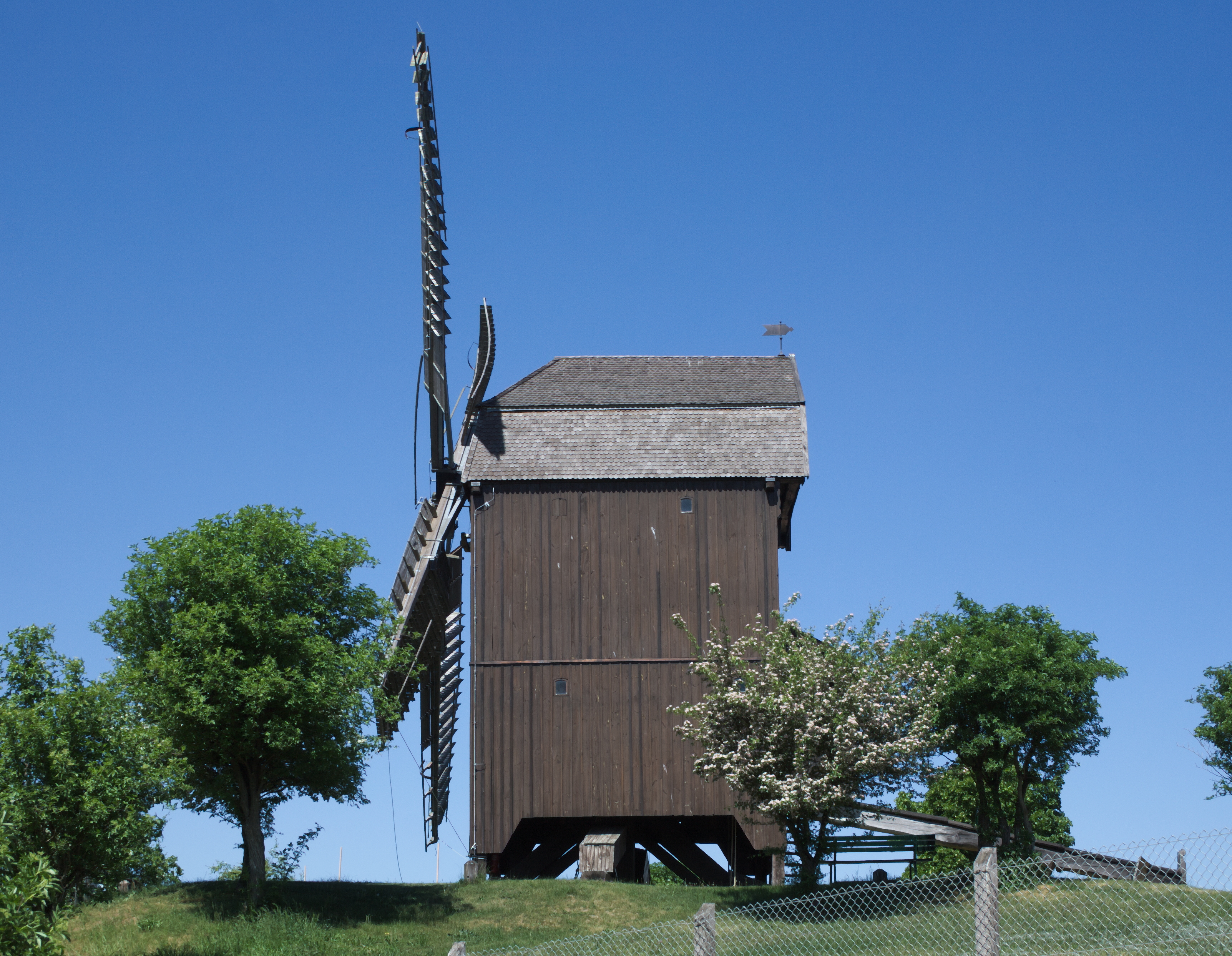 2011-05-09 Bockwindmühle in Werder (Brandenburg) 02