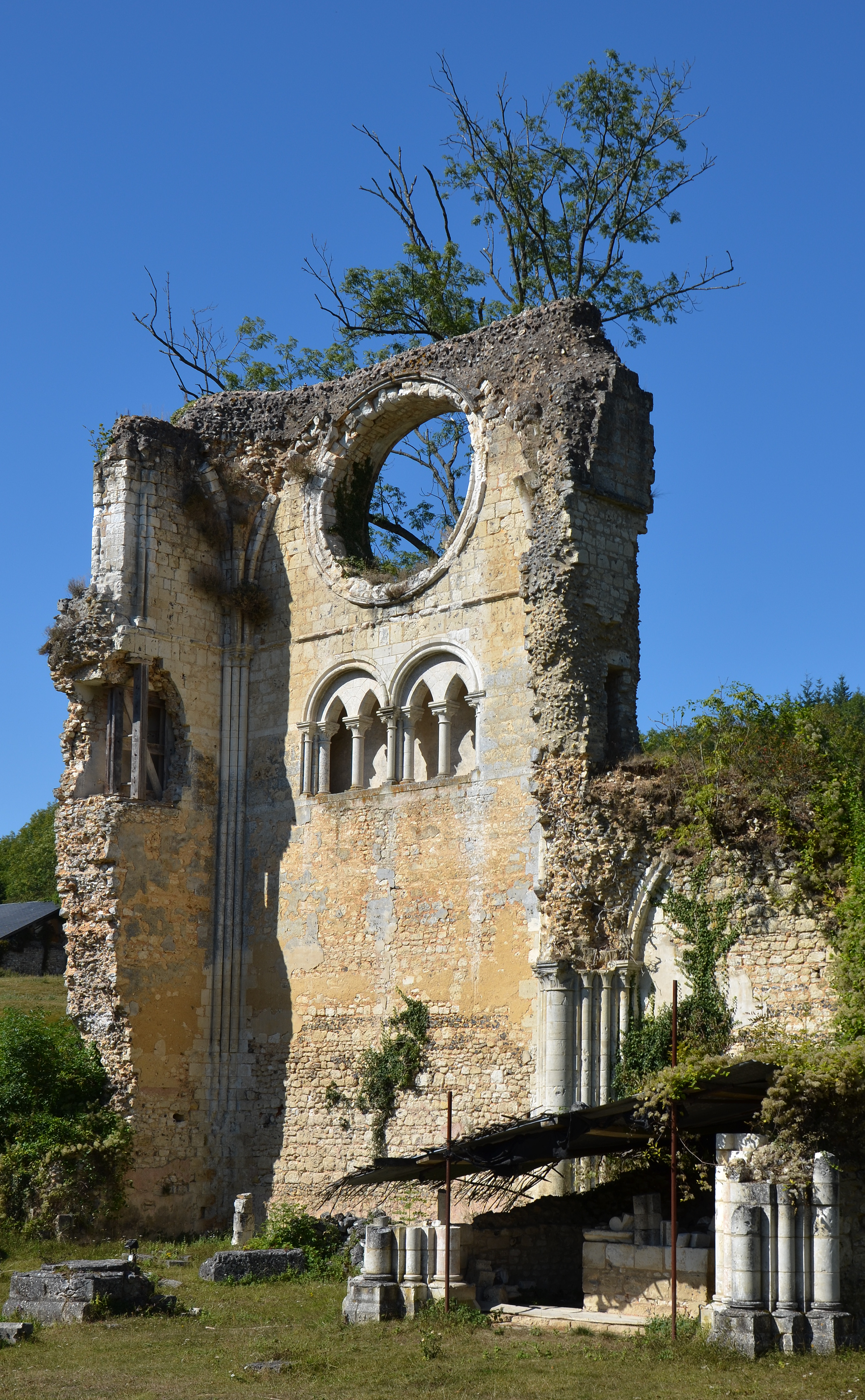 2012--DSC 0320-Abbaye-de-Mortemer