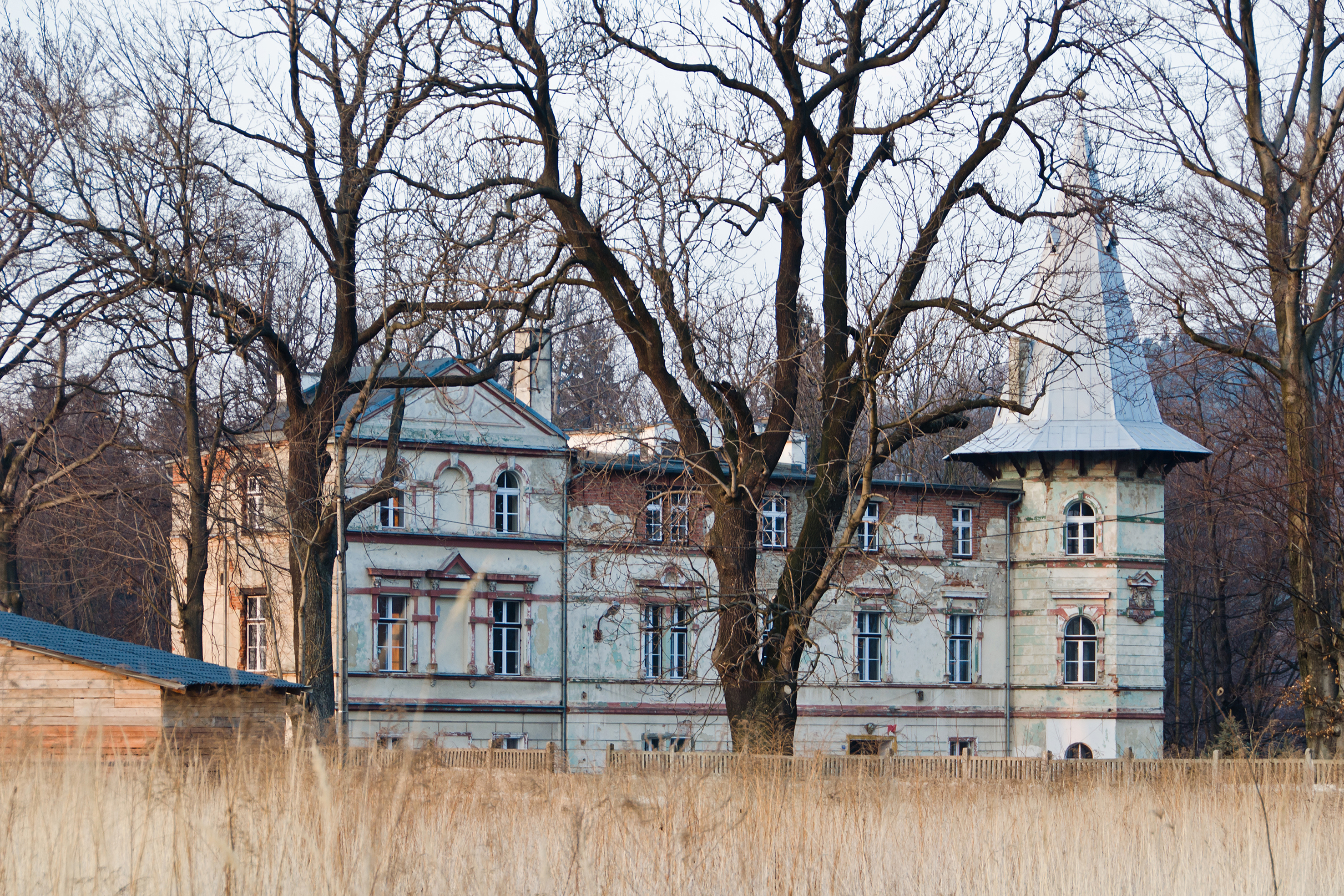 2014 Żelazno 109, pałac02